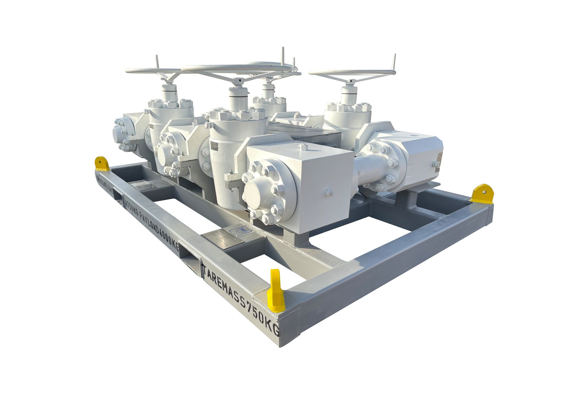 Manifold Skid